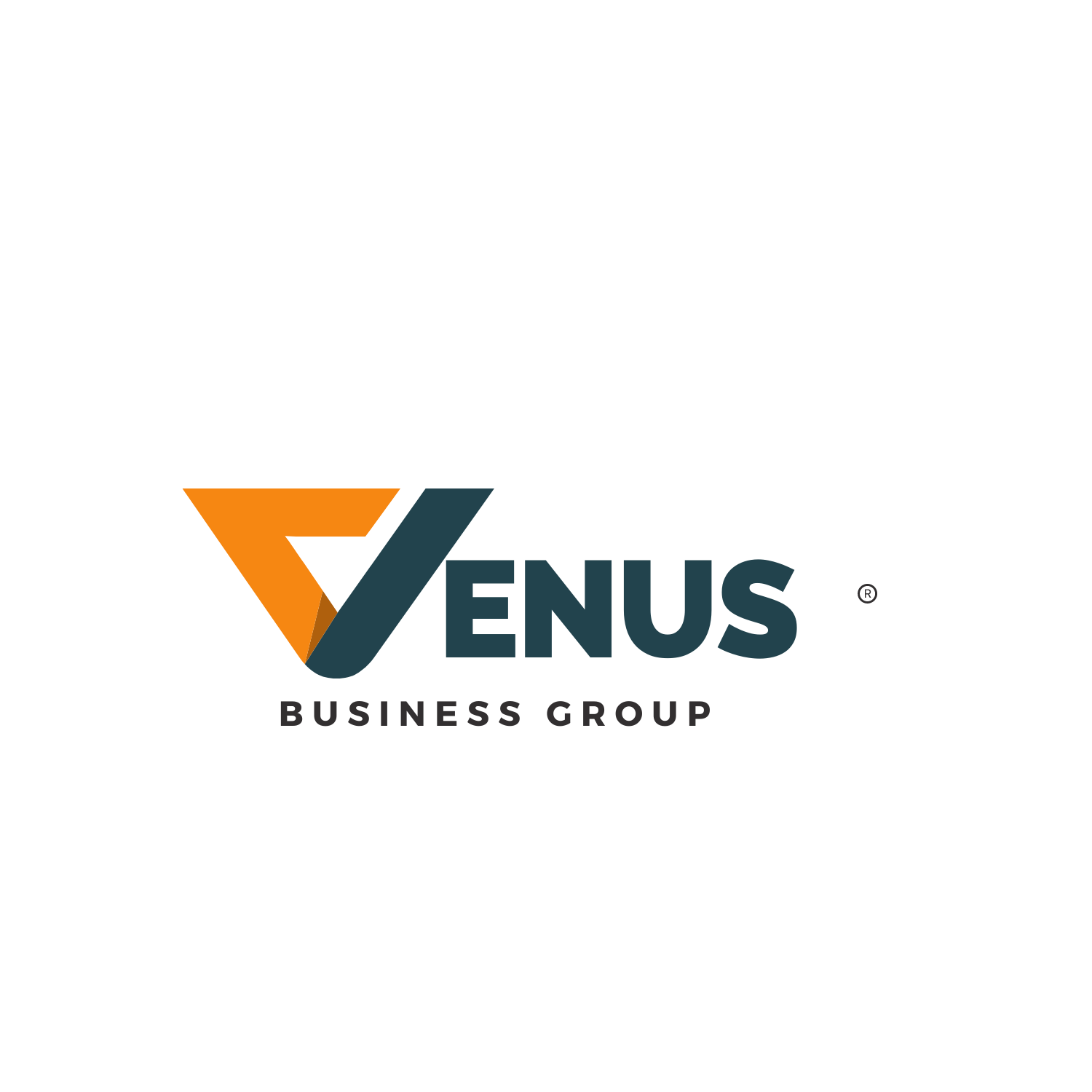 Venus Business Group